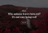 Soldaduras